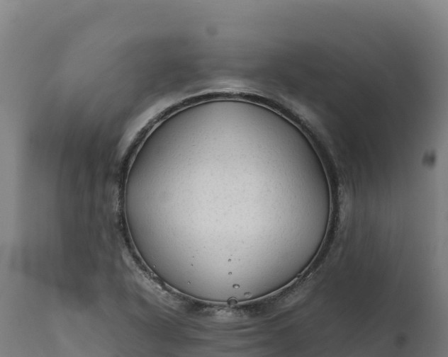 X0000112401318200908281740
