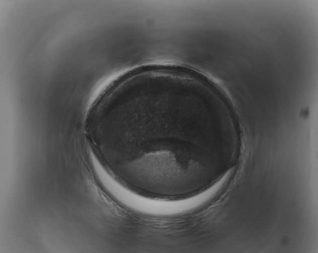 X0000112401319200908281740