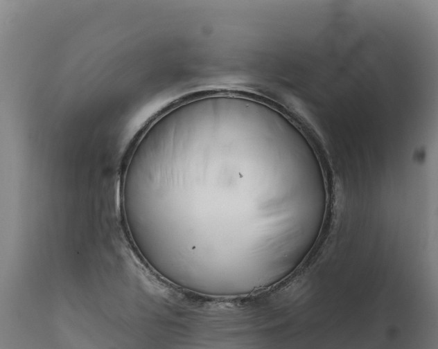 X0000112401320200908281740