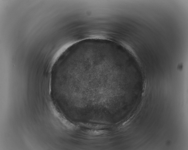 X0000112401323200908281740