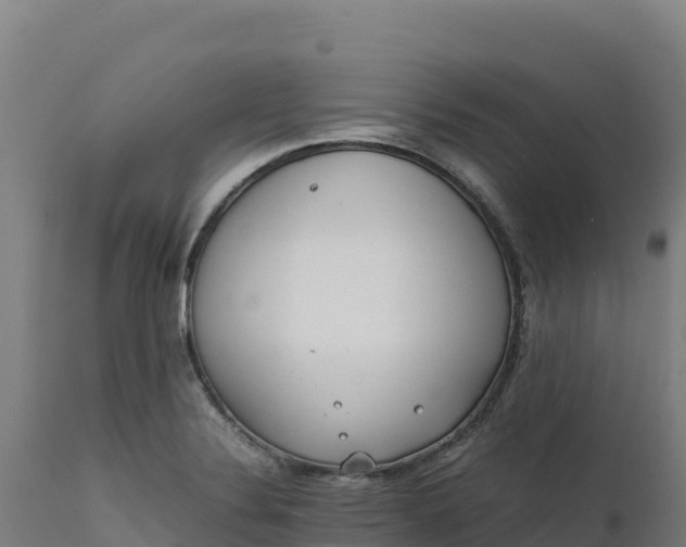 X0000112401324200908281740