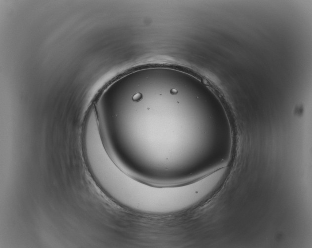 X0000112401326200908281740