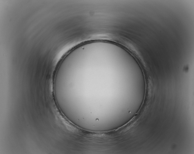 X0000112401328200908281741