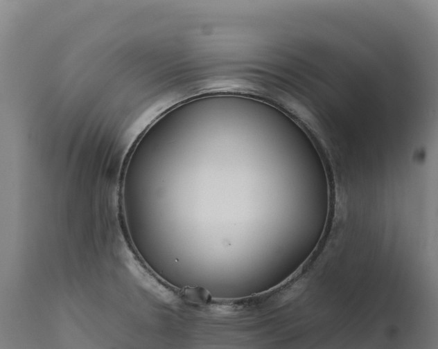 X0000112401330200908281741