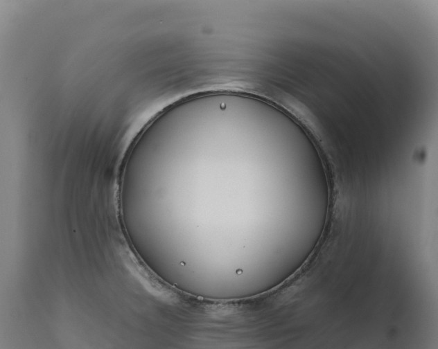 X0000112401332200908281741