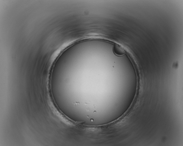 X0000112401333200908281741