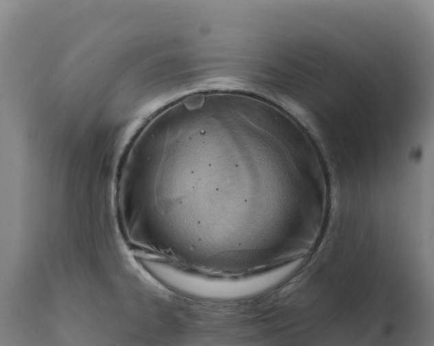 X0000112401334200908281741