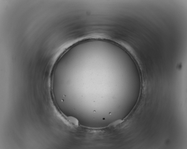 X0000112401335200908281741