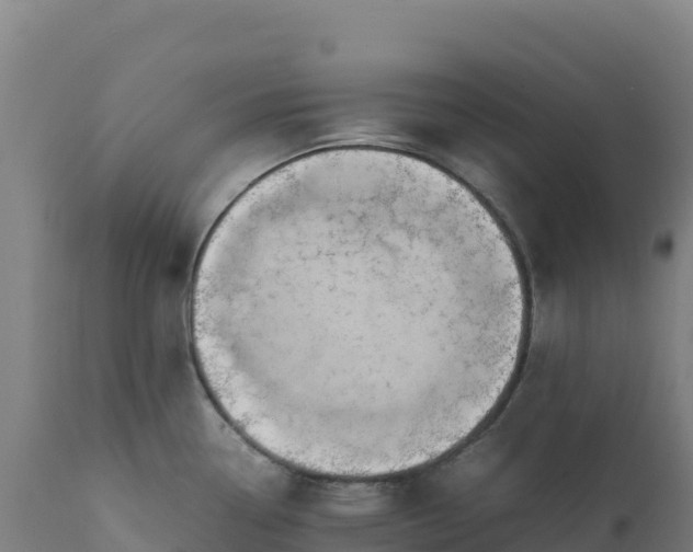 X0000112401338200908281741