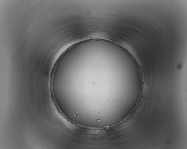 X0000112401339200908281741
