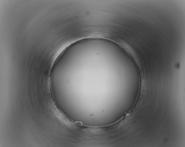 X0000112401340200908281741