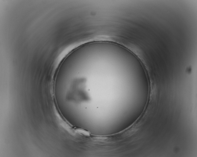 X0000112401342200908281741