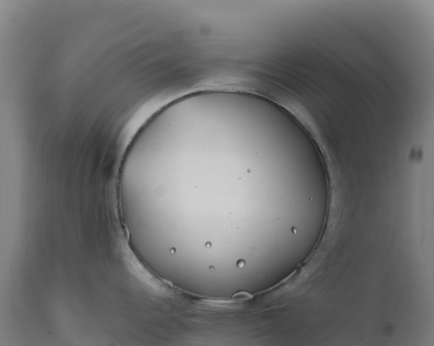 X0000112401344200908281741