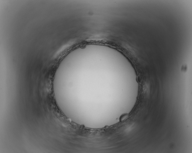 X0000112401350200908281740