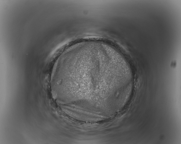 X0000112401351200908281740