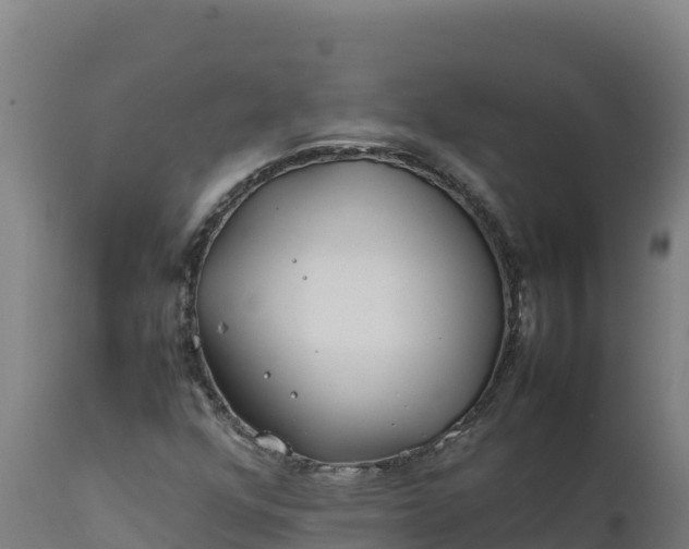 X0000112401352200908281740