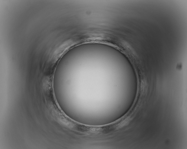 X0000112401353200908281740