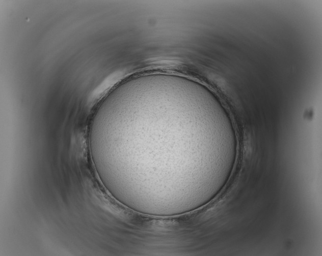 X0000112401354200908281740