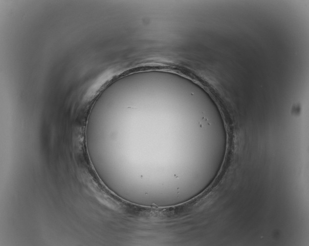 X0000112401355200908281740