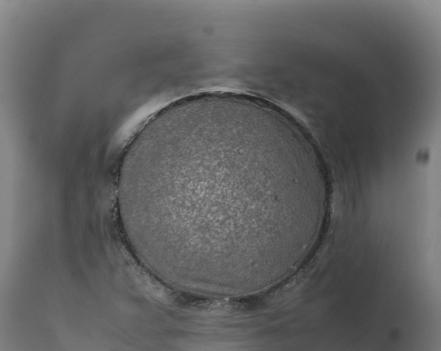 X0000112401359200908281740