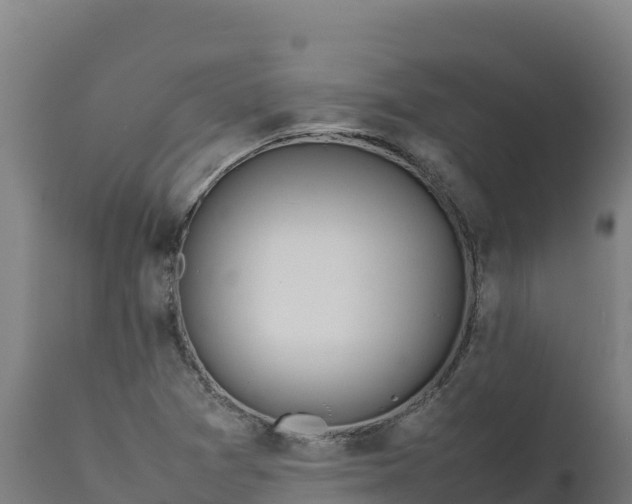 X0000112401361200908281740
