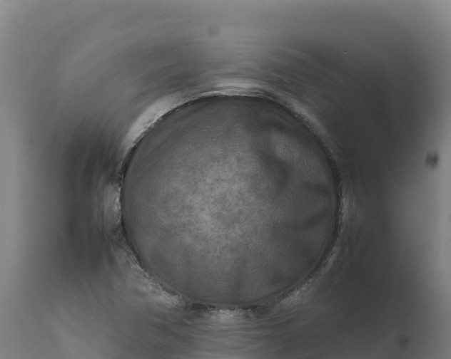 X0000112401362200908281740