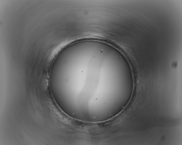 X0000112401363200908281740