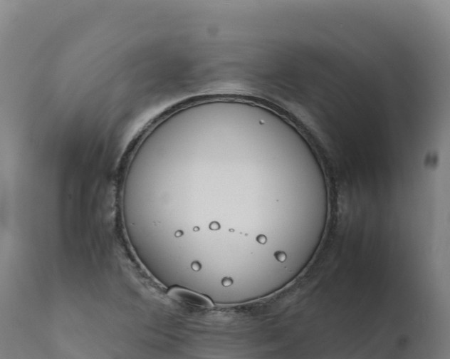X0000112401364200908281740