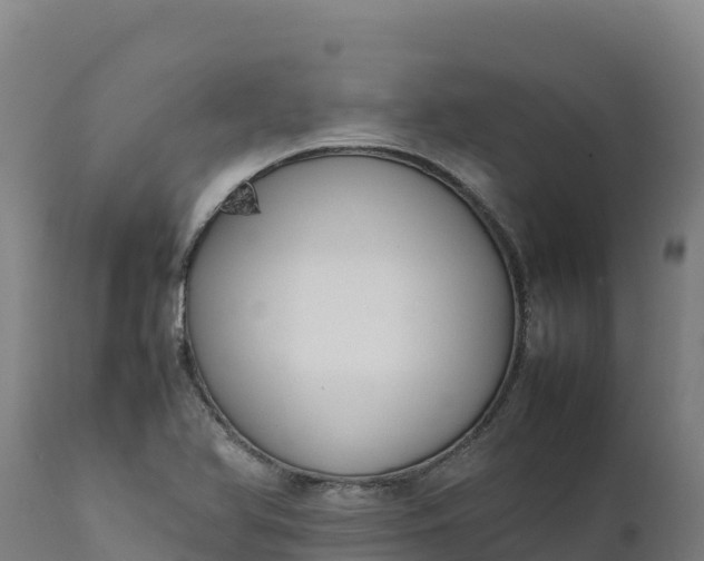 X0000112401366200908281740