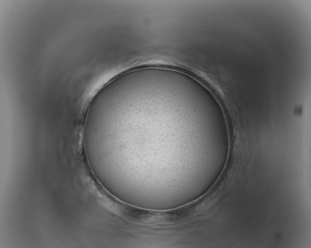 X0000112401367200908281740