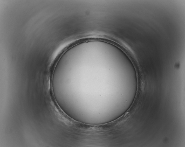 X0000112401368200908281740