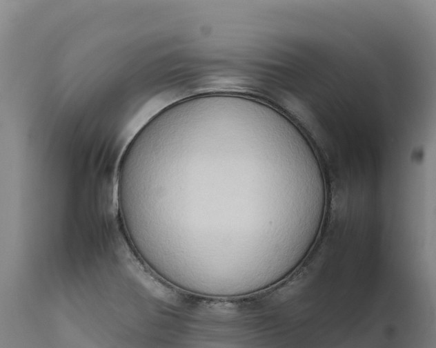 X0000112401370200908281739