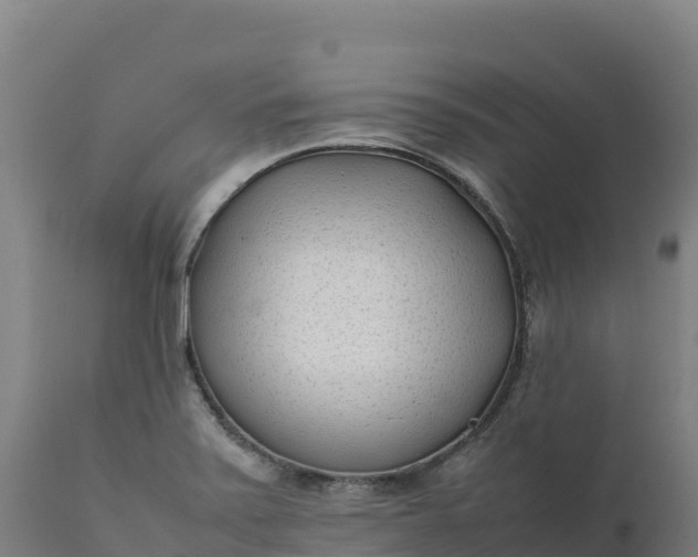 X0000112401371200908281739