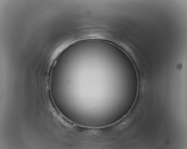 X0000112401373200908281739