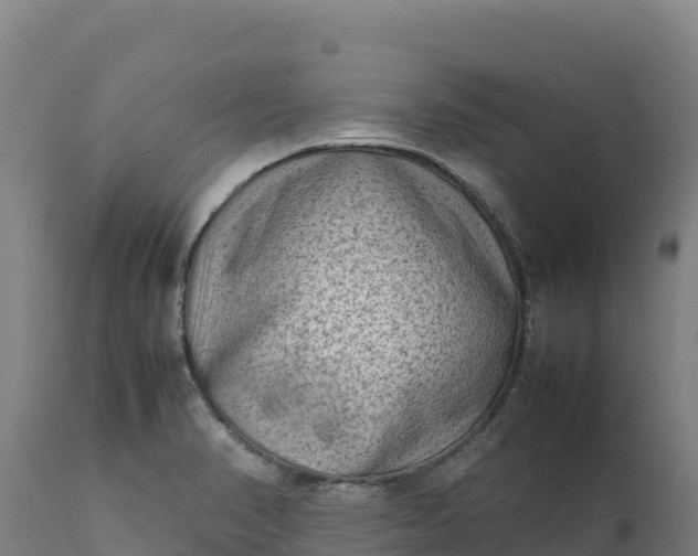X0000112401374200908281739