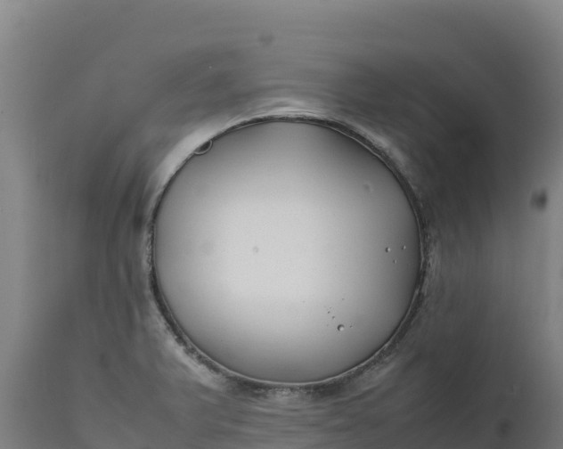 X0000112401375200908281739
