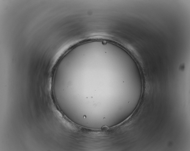 X0000112401376200908281739