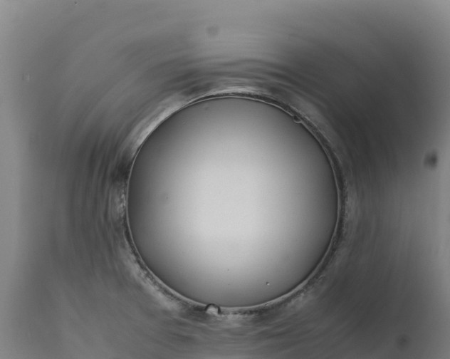 X0000112401377200908281739