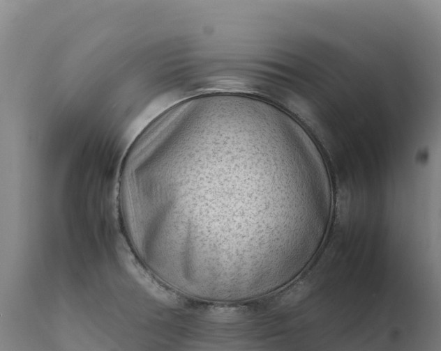 X0000112401378200908281739