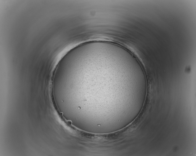 X0000112401379200908281739