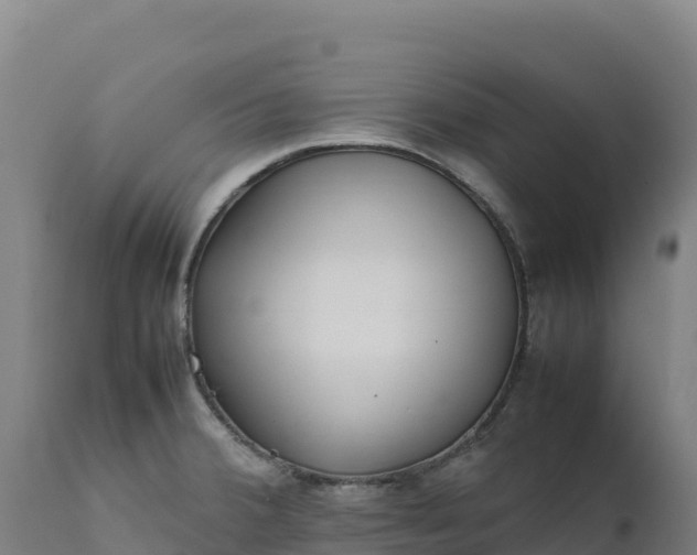 X0000112401380200908281739