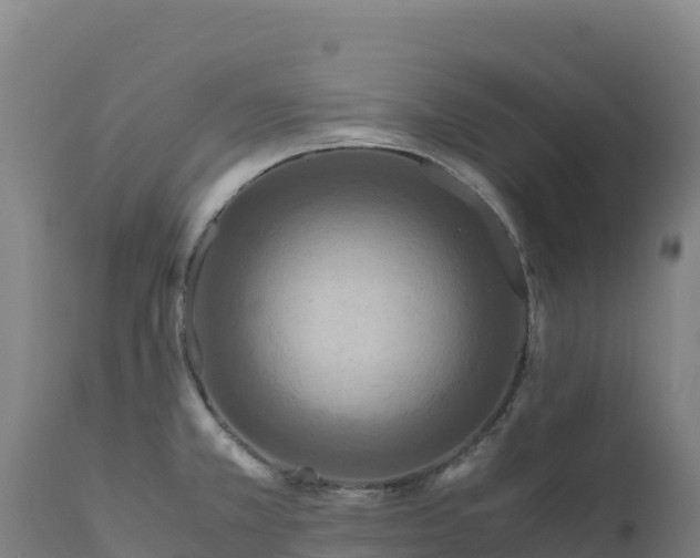 X0000112401381200908281739