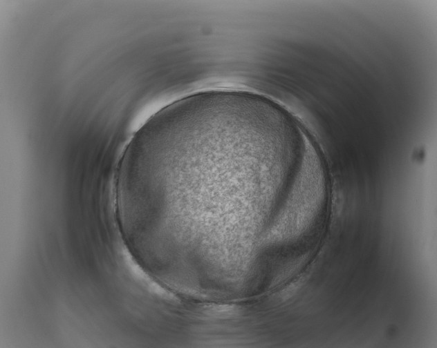 X0000112401382200908281739