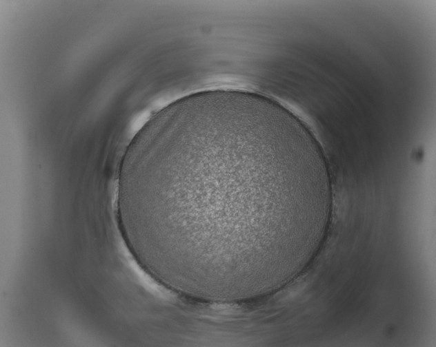 X0000112401383200908281739