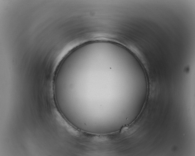 X0000112401384200908281739