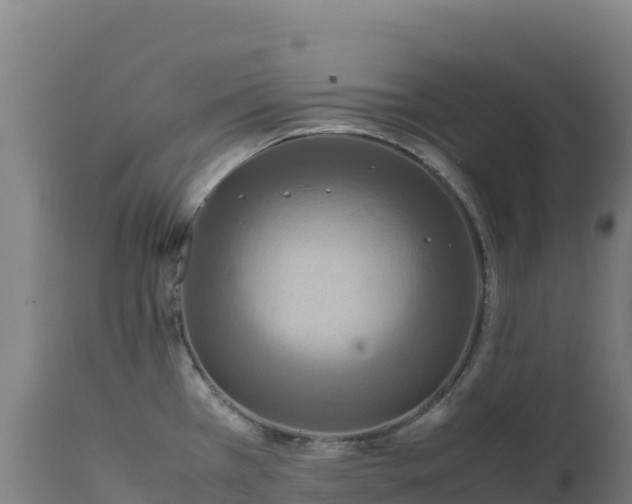 X0000112401385200908281739