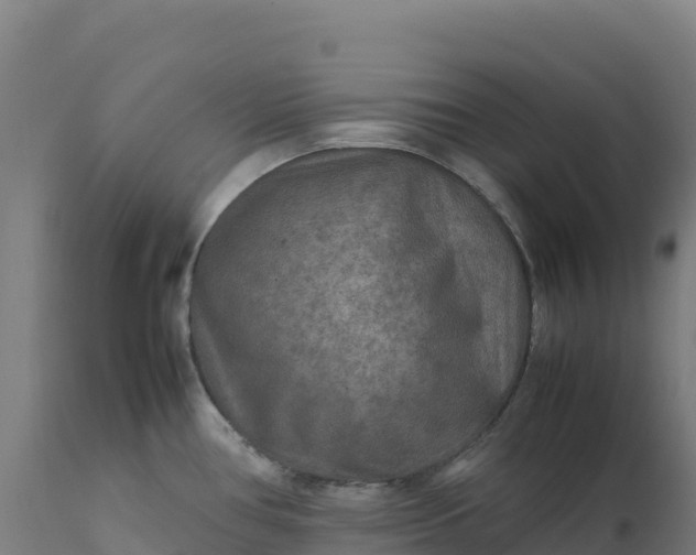 X0000112401386200908281739