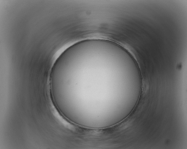 X0000112401387200908281739