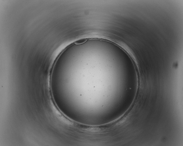 X0000112401388200908281739