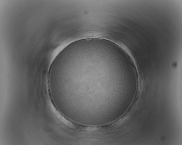 X0000112401389200908281739